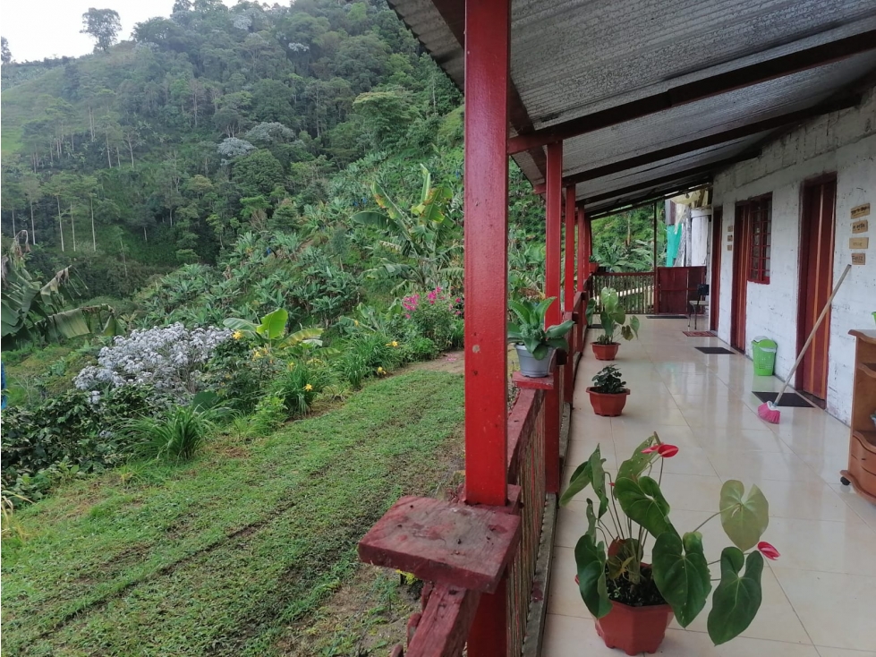 Se Vende Finca en Cordoba - Quindío. — foto 3