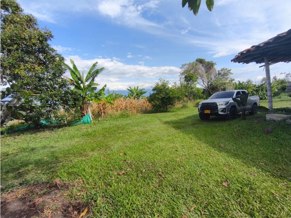 Se Vende Finca en Quimbaya - Quindío. - 3