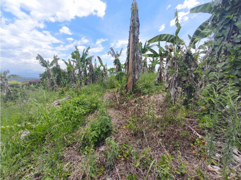 Se Vende Finca ubicada en la Via Pueblo Tapao - La Tebaida - Quindío. - 3