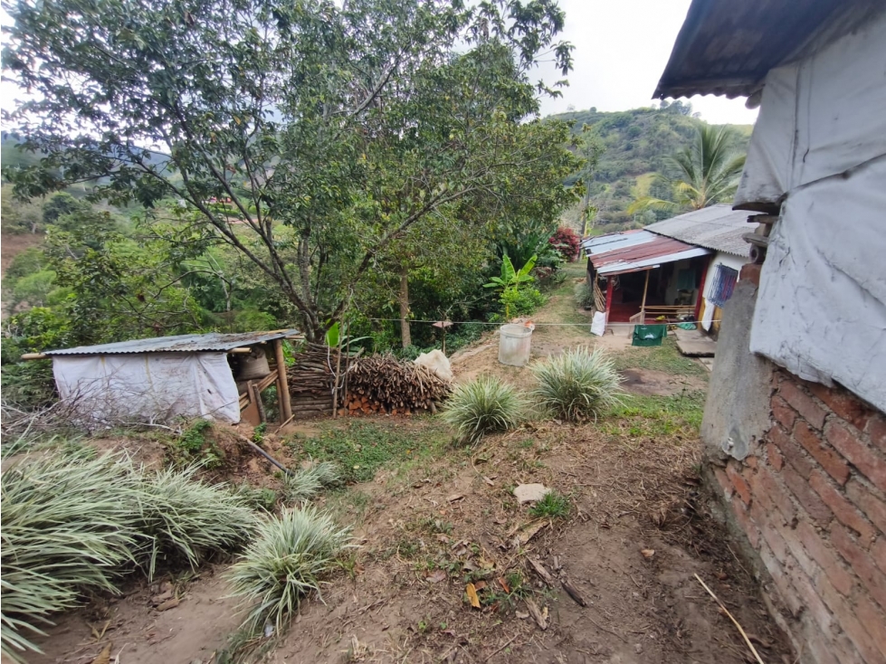 Se Vende Finca en Cordoba - Quindío. - 4