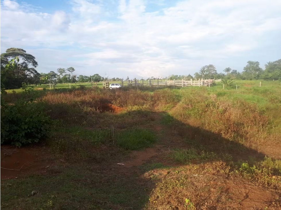 Se Vende Finca en Villavicencio - Meta - 5