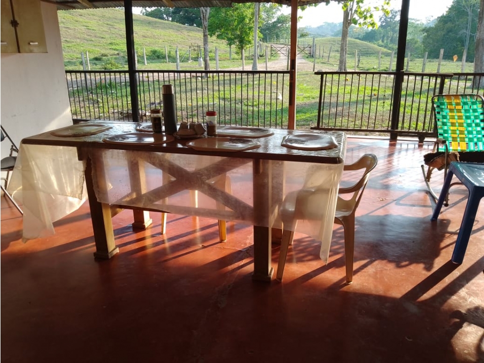 Se vende Finca Ganadera en Puerto Boyacá - 5