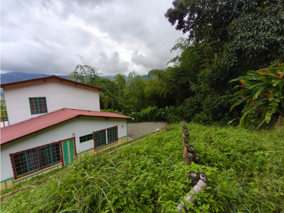 Se Vende Finca En Buenavista - Quindío - 5
