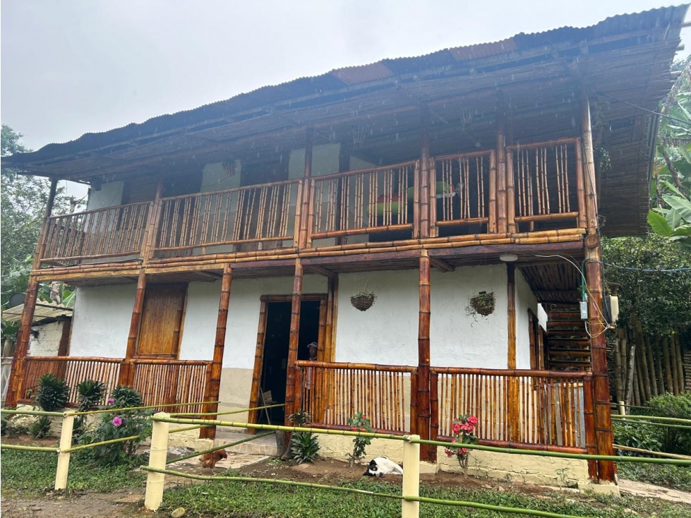 Se vende Finca Sevilla Valle del Cauca - 2