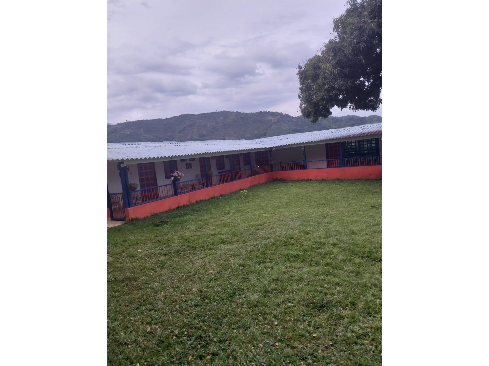 Se Vende Finca Belalcázar, Caldas - 2