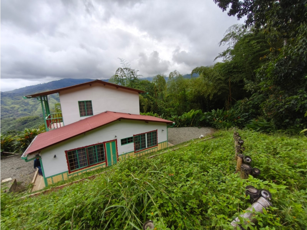 Se Vende Finca En Buenavista - Quindío - 4