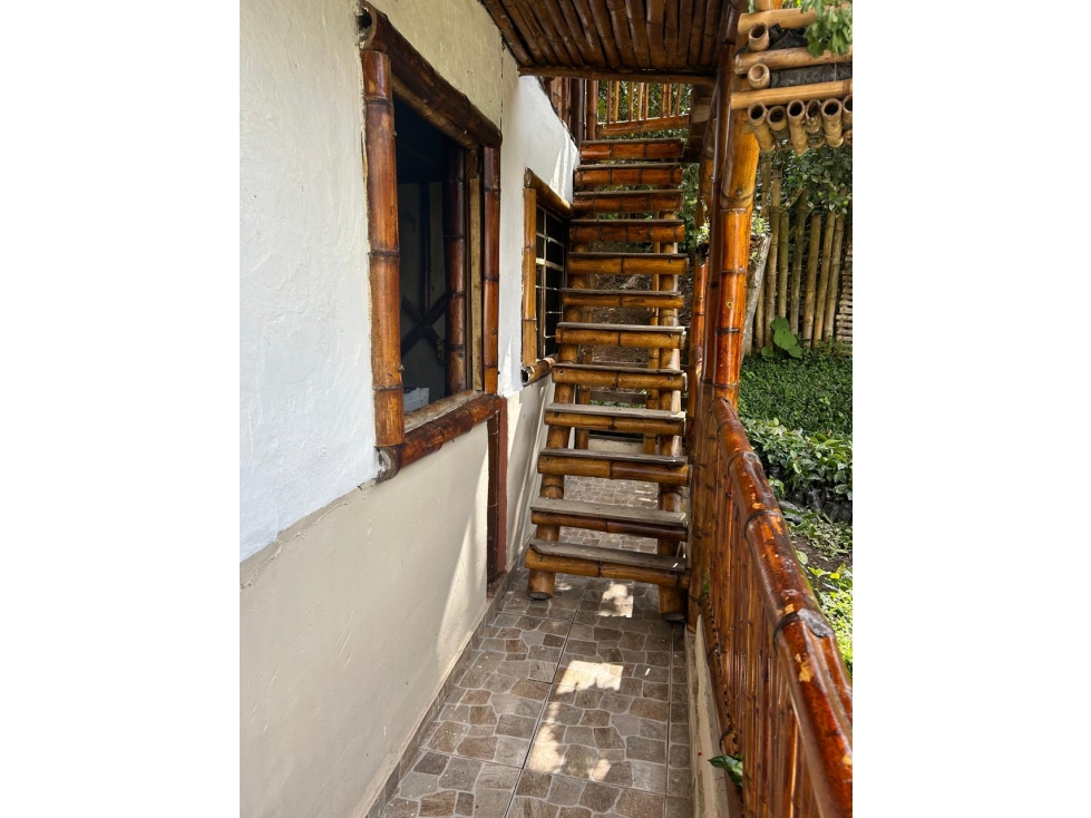Se vende Finca Sevilla Valle del Cauca - 6