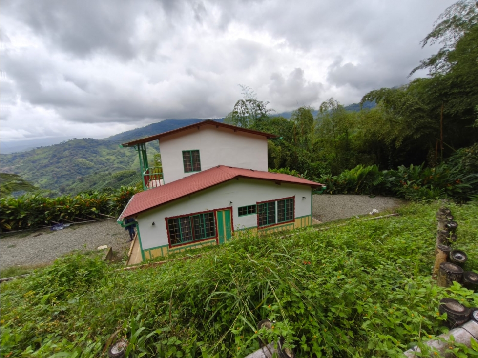 Se Vende Finca En Buenavista - Quindío - 6