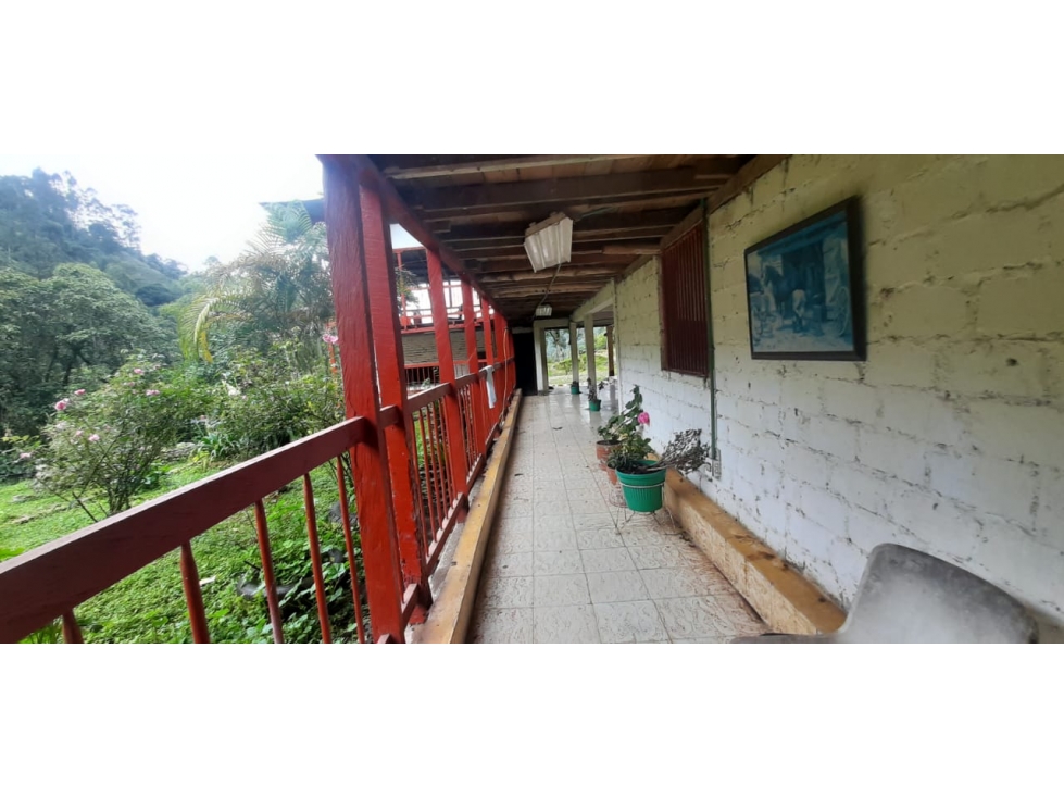 Se Vende Finca 109 Cuadras - Córdoba — foto 3