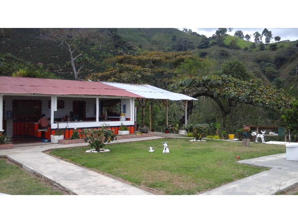 Se vende finca de 46 cuadras en Córdoba Quindío - 3