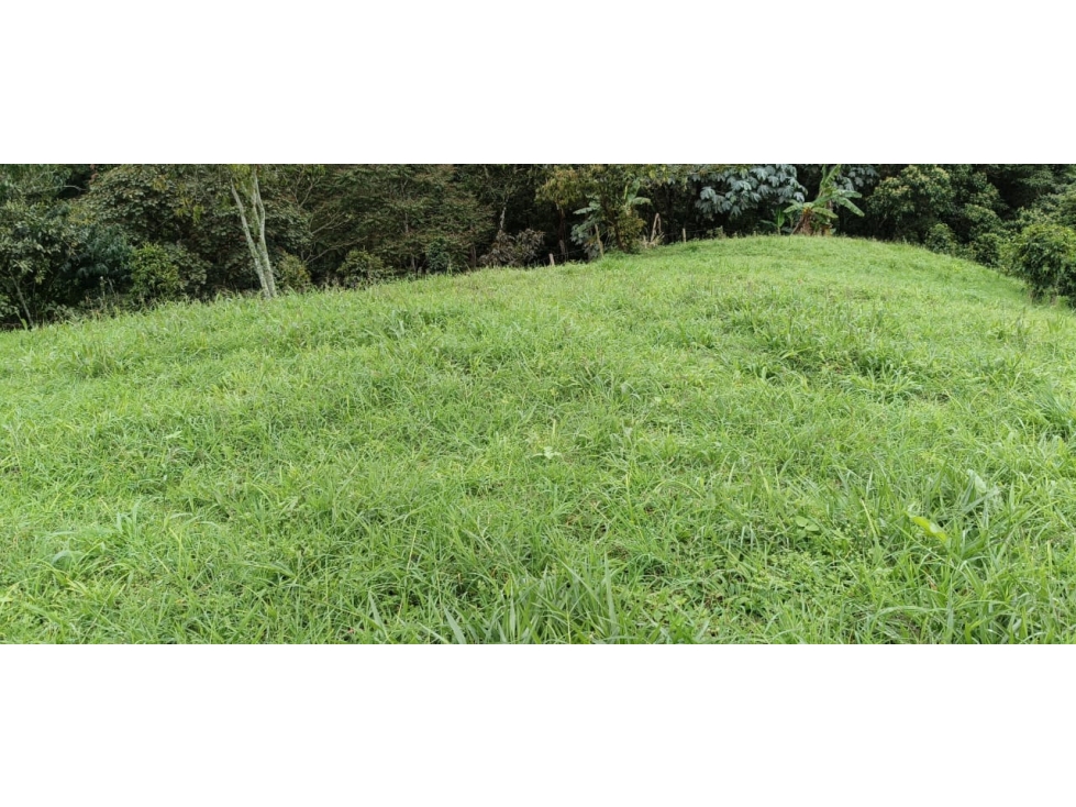 Se vende Lote Ubicado En Salento - Quindío - 3