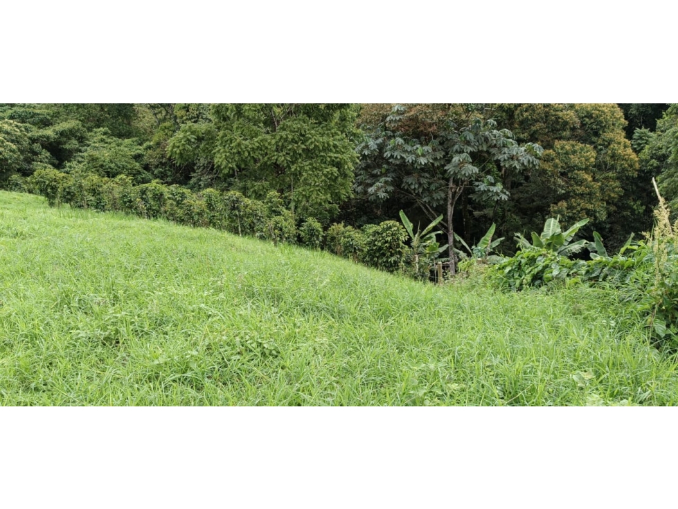 Se vende Lote Ubicado En Salento - Quindío - 2