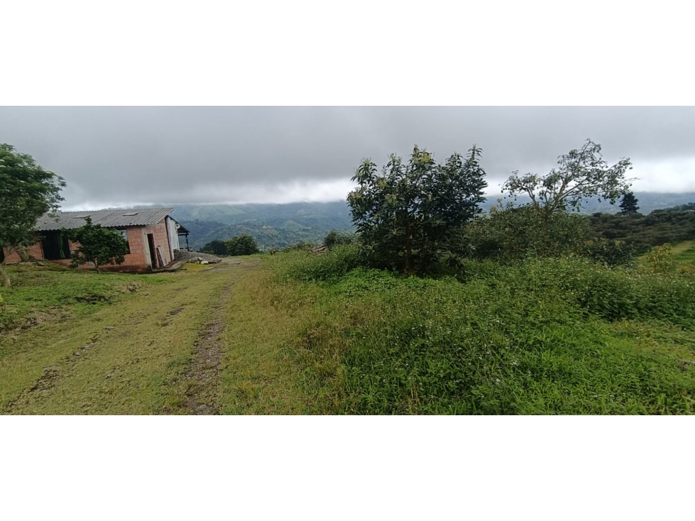 Se Vende Finca En Circasia - Quindío — foto 5