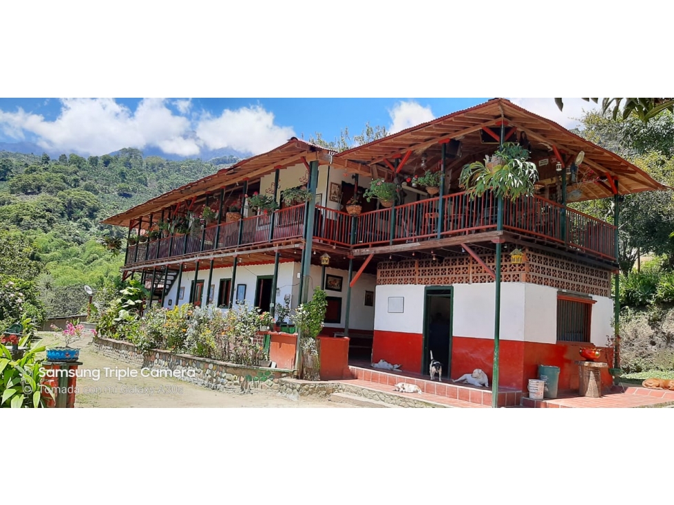Se vende Finca Córdoba Quindío - 1