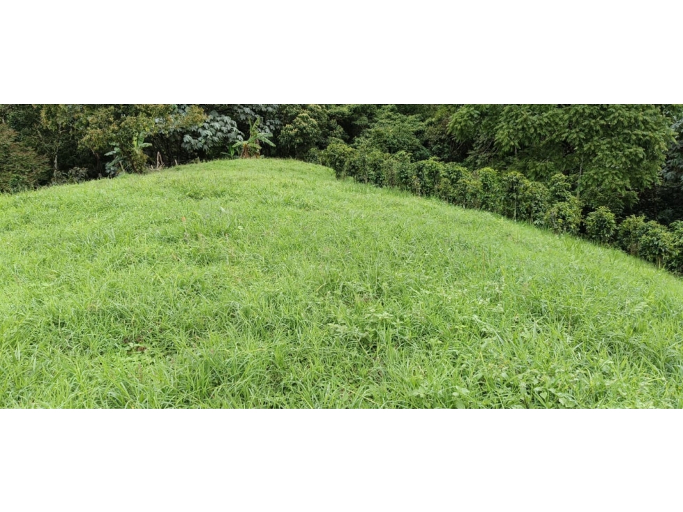 Se vende Lote Ubicado En Salento - Quindío - 4