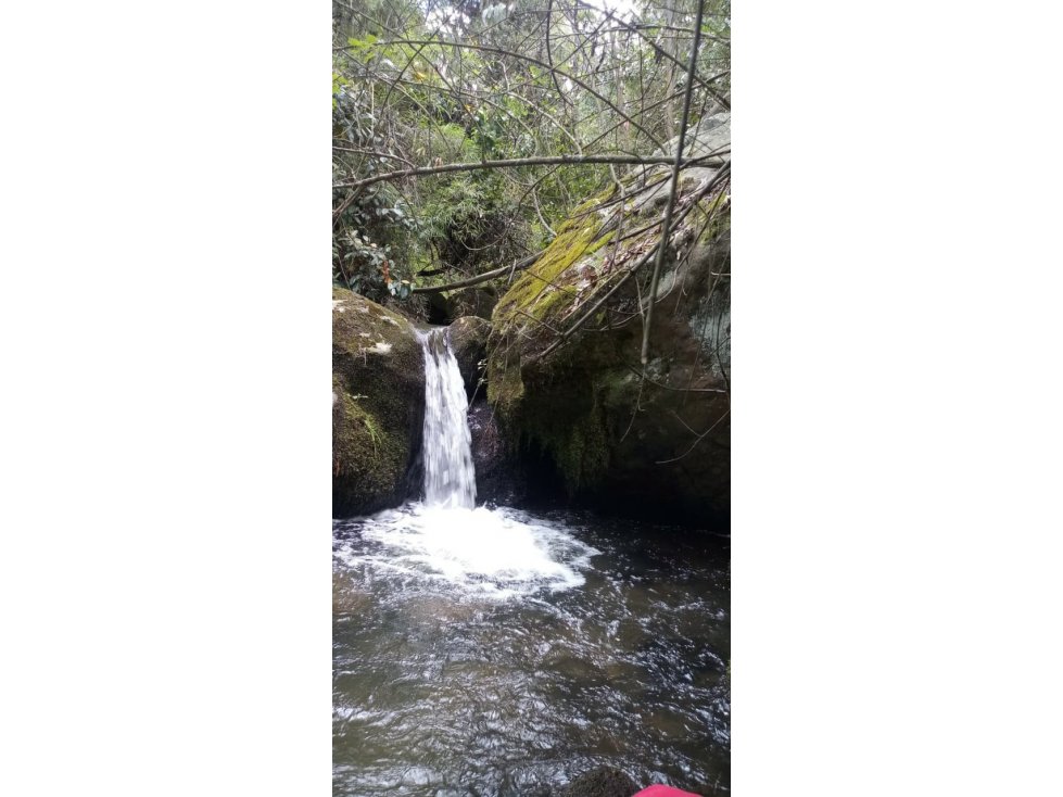 Se Vende Finca De 20 Cuadras En Cundinamarca - 4
