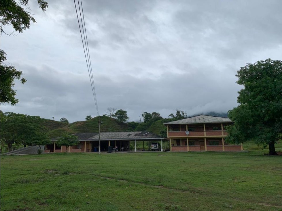 Se Vende Finca Ganadera En Puerto Boyaca - 6