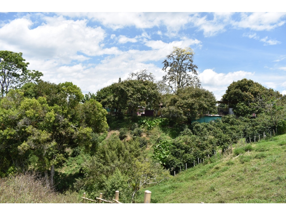 Se vende Lote en Quimbaya Quindío - 4