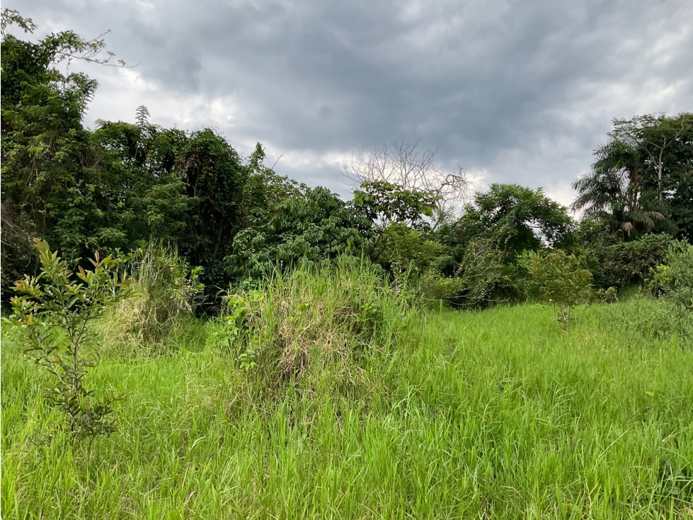 Se vende Lote en La Y de Calarcá - Armenia Quindío - 4
