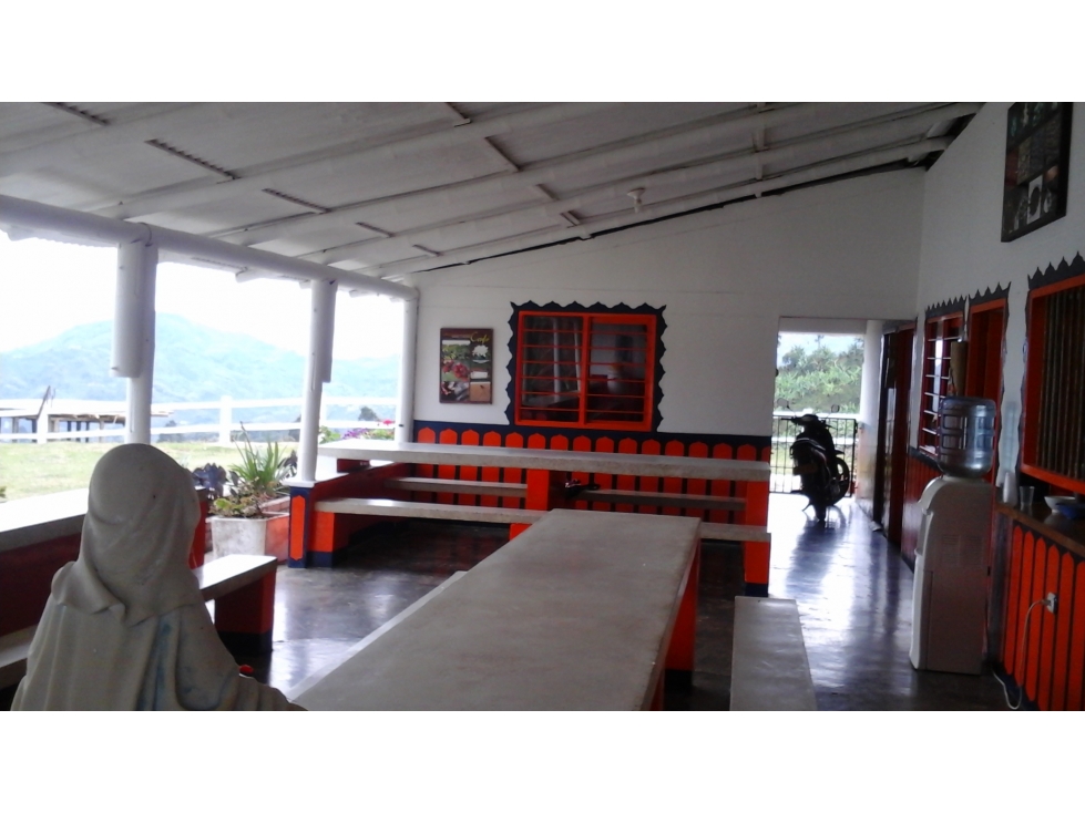 Se vende finca de 46 cuadras en Córdoba Quindío - 6
