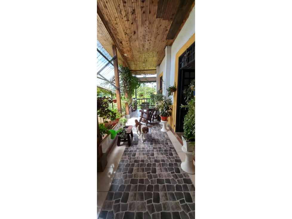 Se vende Finca Circasia Quindío — foto 4
