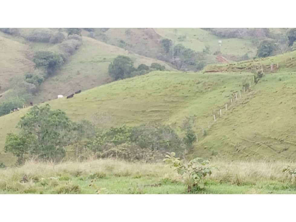 Se vende Finca Trujillo - Valle del Cauca - 4