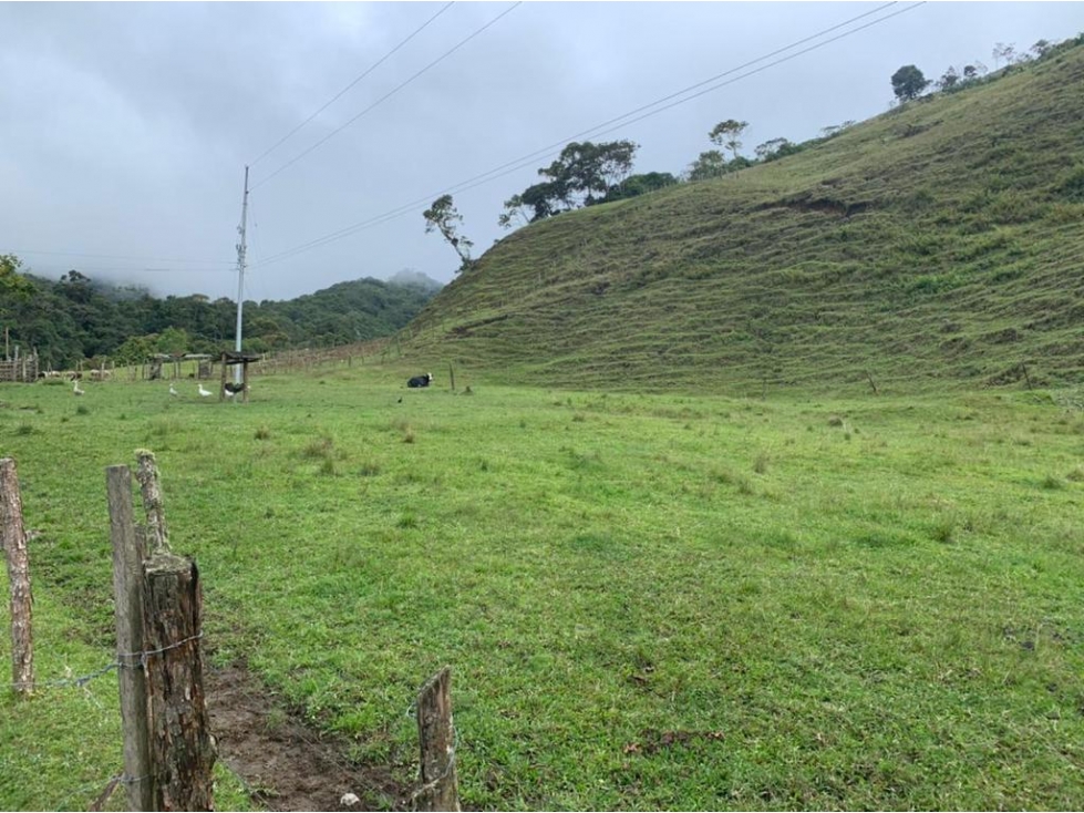 Se vende Finca Pueblo Rico Risaralda - 6