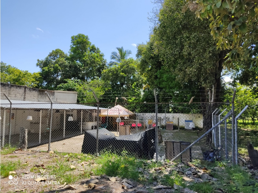 Se Vende Casa Lote En Purificación - Tolima — foto 4