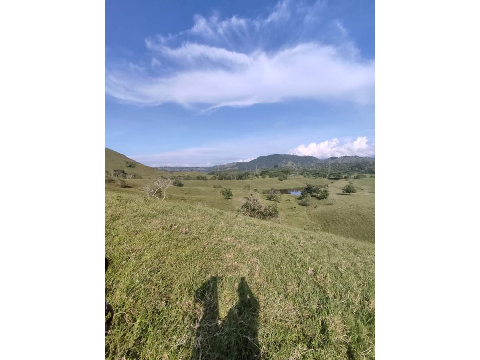 Se Vende Finca En Cerritos - Risaralda — foto 4