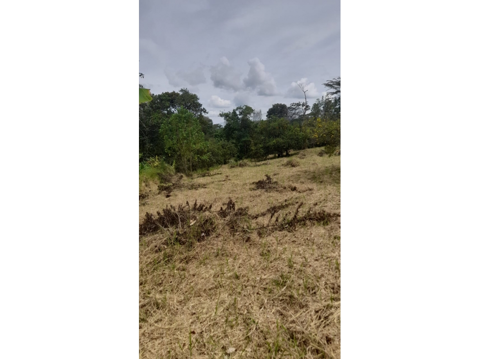 Se Vende Lote S. Caimo - Quindío — foto 4