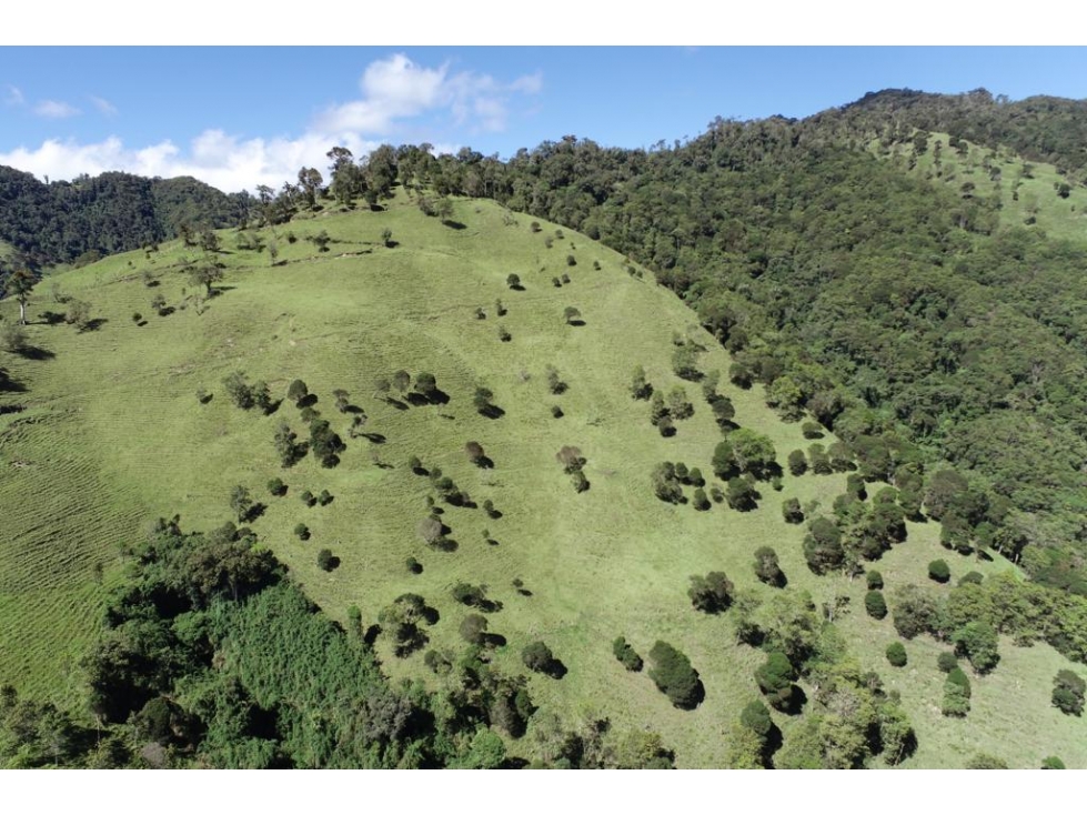 Se vende Finca Cajamarca Tolima - 3