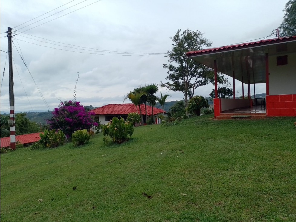 Se Vende Finca Canaán Salento Quindío - 4