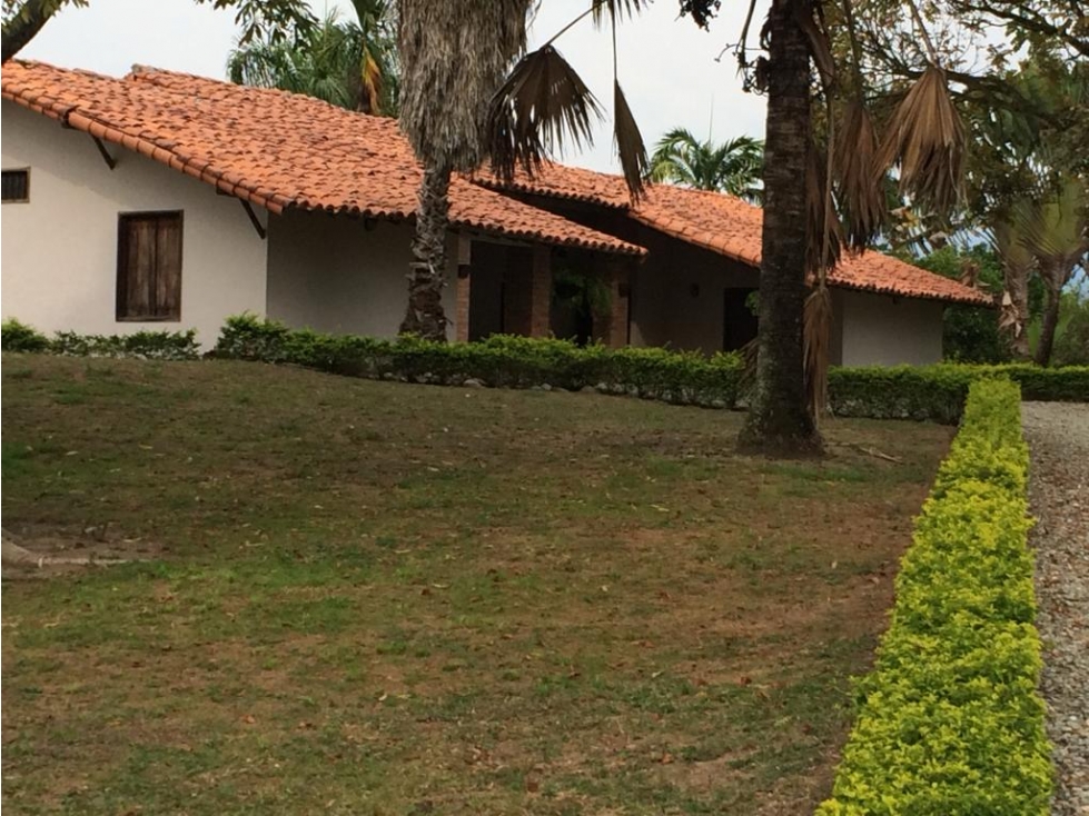 Se vende Finca En Caicedonia - Valle Del Cauca - 6