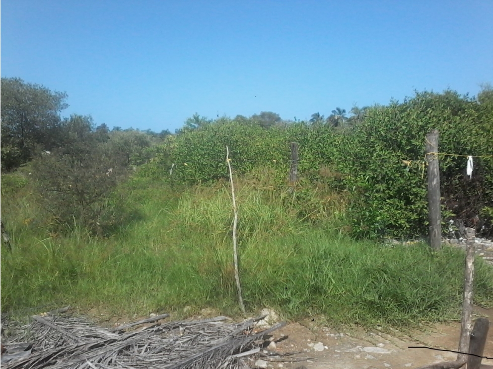 Se vende Lote Dibulla de La Guajira - 3