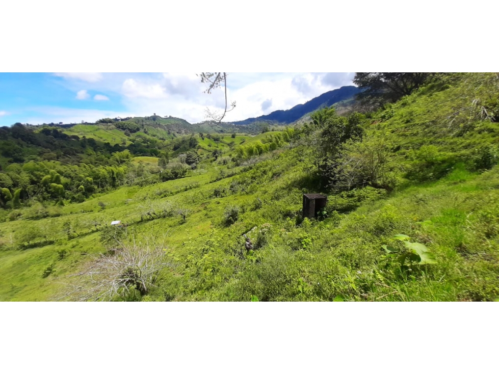 Se Vende Finca Ganadera Entre Barragan - Río Verde. — foto 4