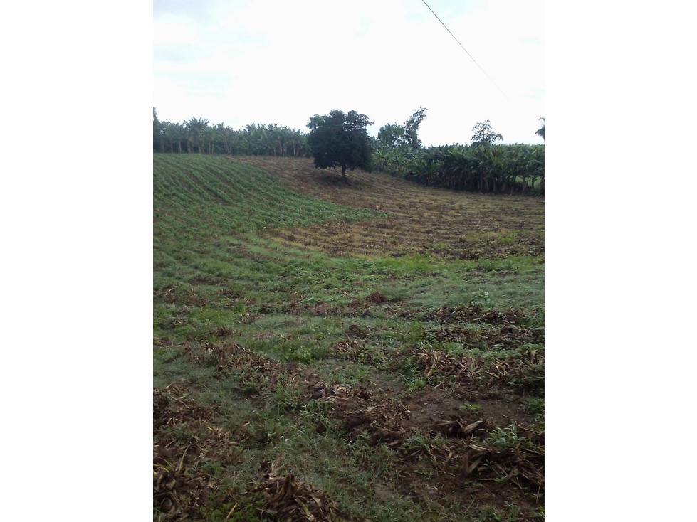 Se Vende Lote Armenia Vía Pueblo Tapao - 2