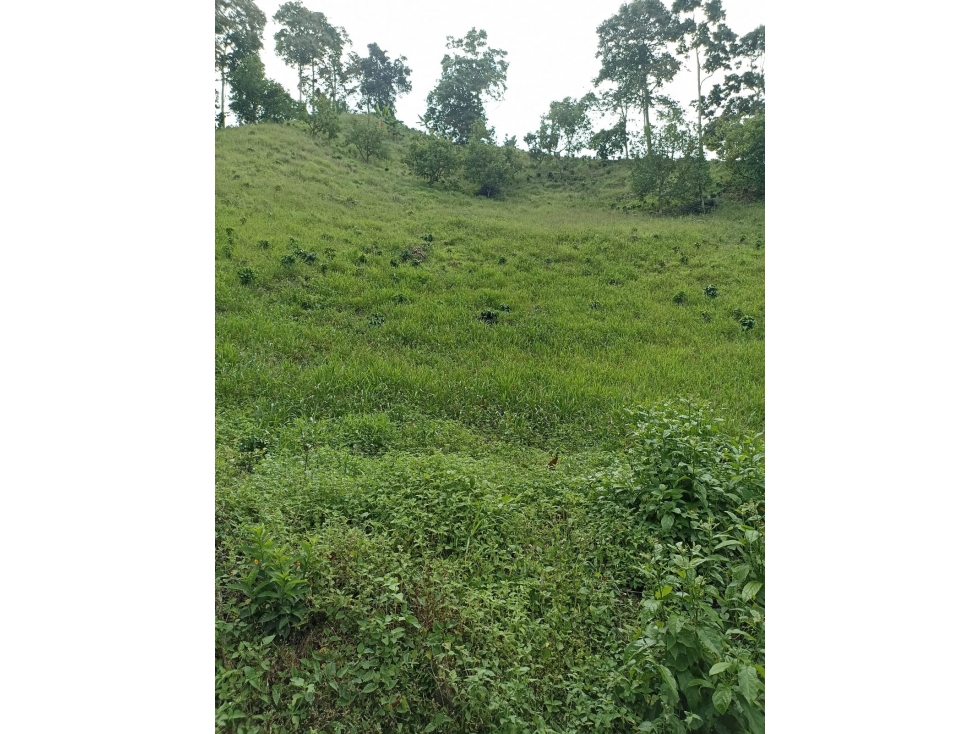 Se Vende Lote Cordoba Quindío - 2