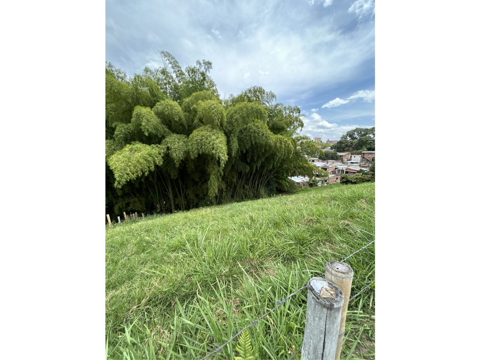 Se Vende Lote Urbano En Montenegro — foto 3