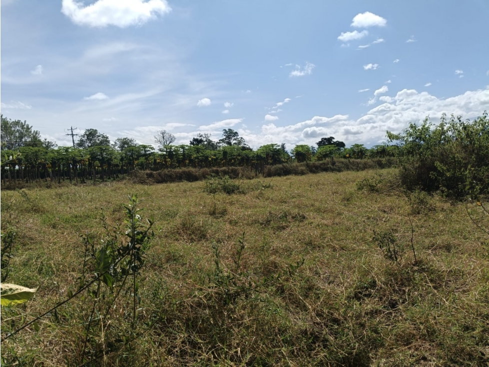 Se Vende Lote En Montenegro — foto 4