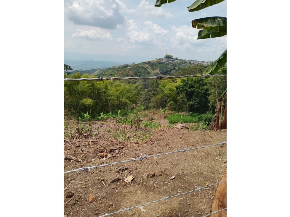 Se Vende Finca En Sevilla - Valle Del Cauca - 4