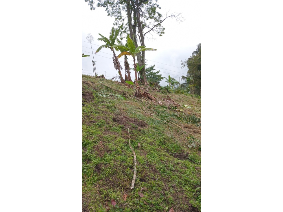 Se Vende Finca En Pijao Quindío - 4