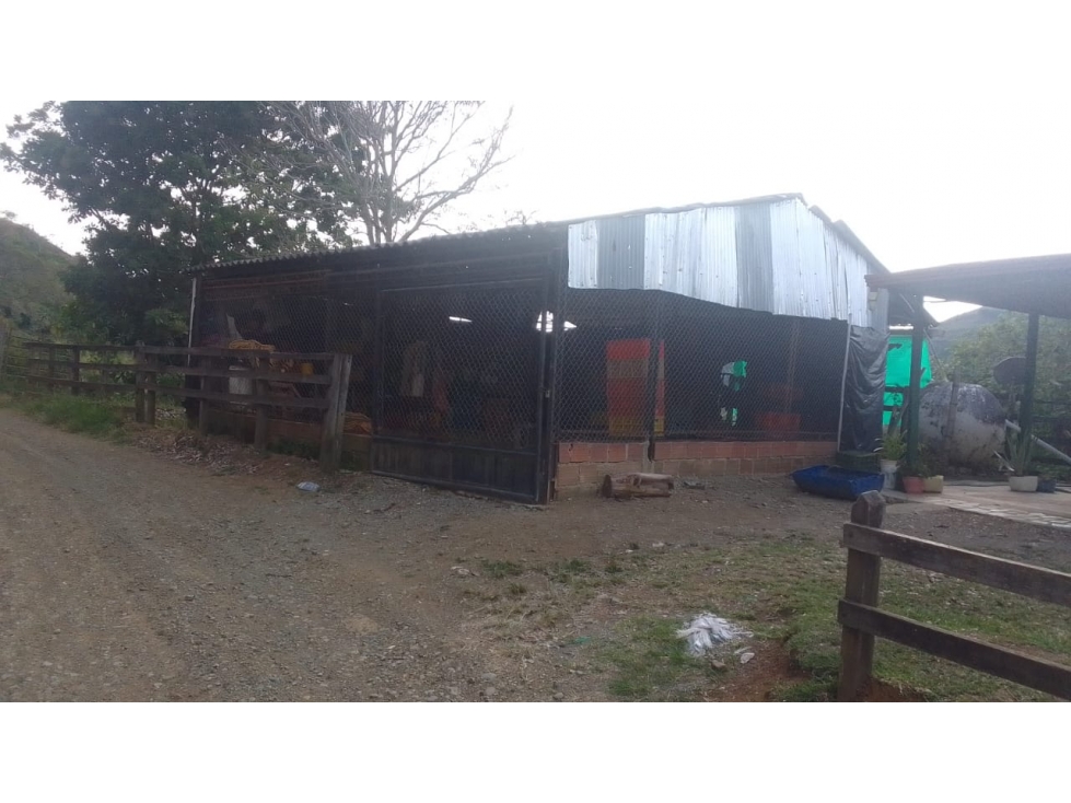 Se Vende Finca En Valle Del Cauca - 3