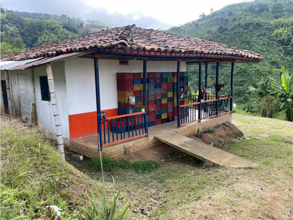 Se Vende Finca En Sevilla - Valle Del Cauca - 3