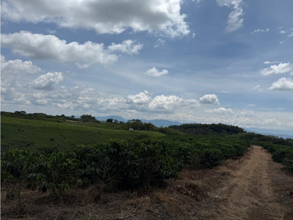 Se Vende Finca En Alcala - Valle Del Cauca - 6