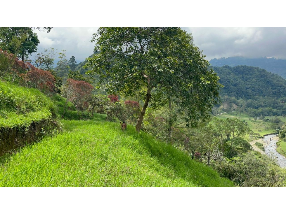 Se Vende Lote En Salento - Quindío - 5