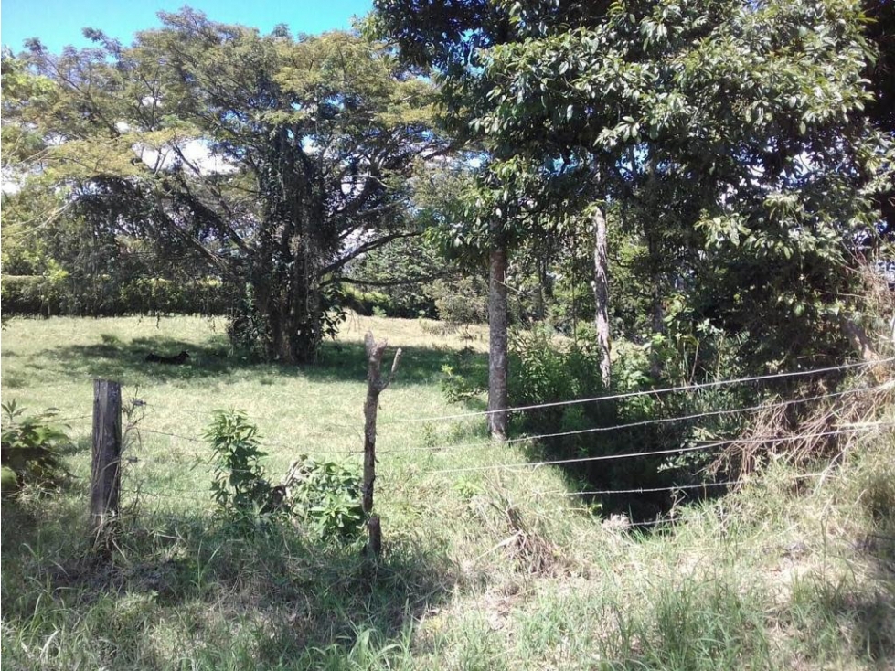 Se Vende Lote En Montenegro - Quindío — foto 5