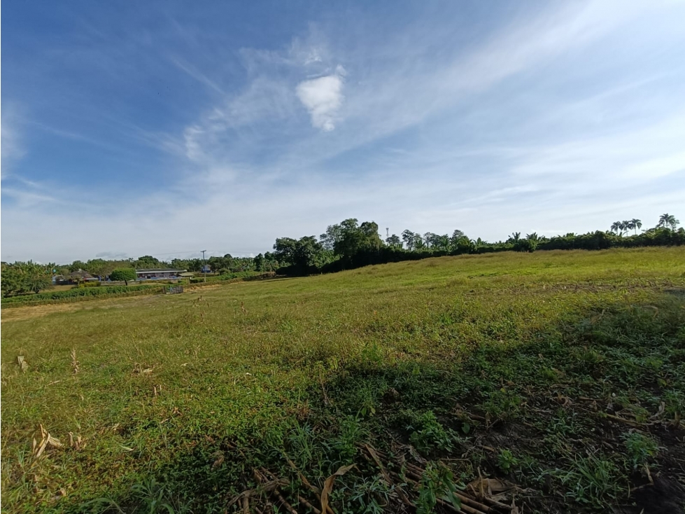 Se Vende Lote Vía Montenegro - La Tebaida - Quindío — foto 4