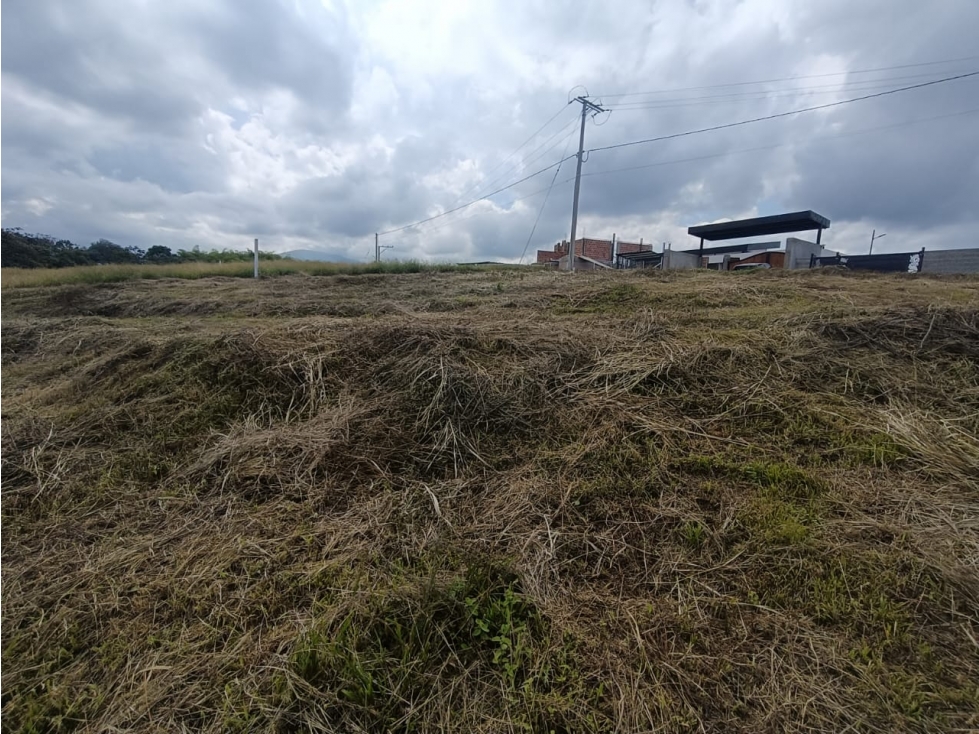 Se Vende Lote En Hojas Anchas - Armenia - Quindío — foto 4