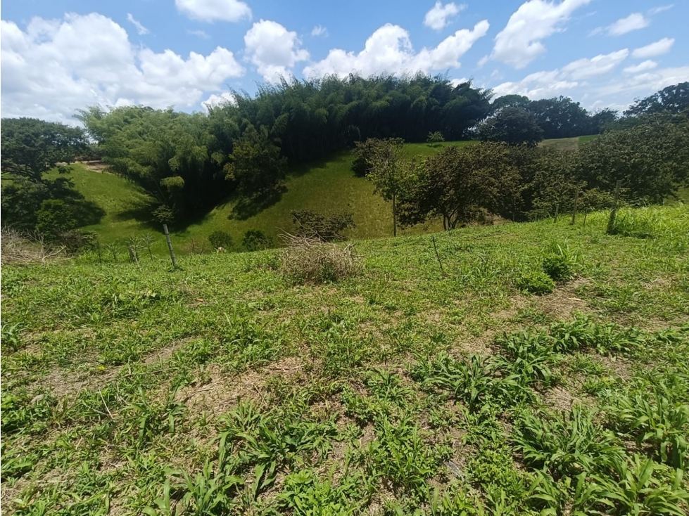 Se Vende Lote En Quimbaya - Quindío - 4