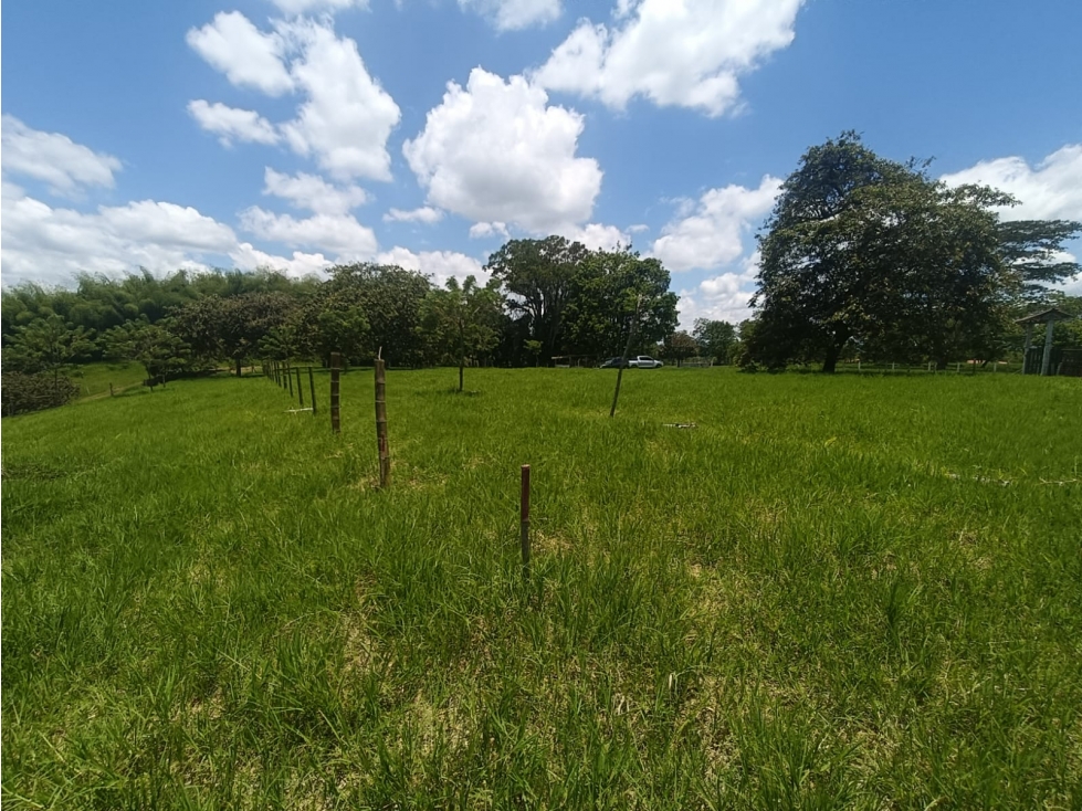 Se Vende Lote En Quimbaya - Quindío - 4